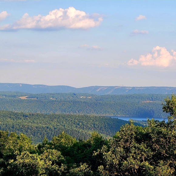 Meet your Posher, Debra - Picture 15 of 16